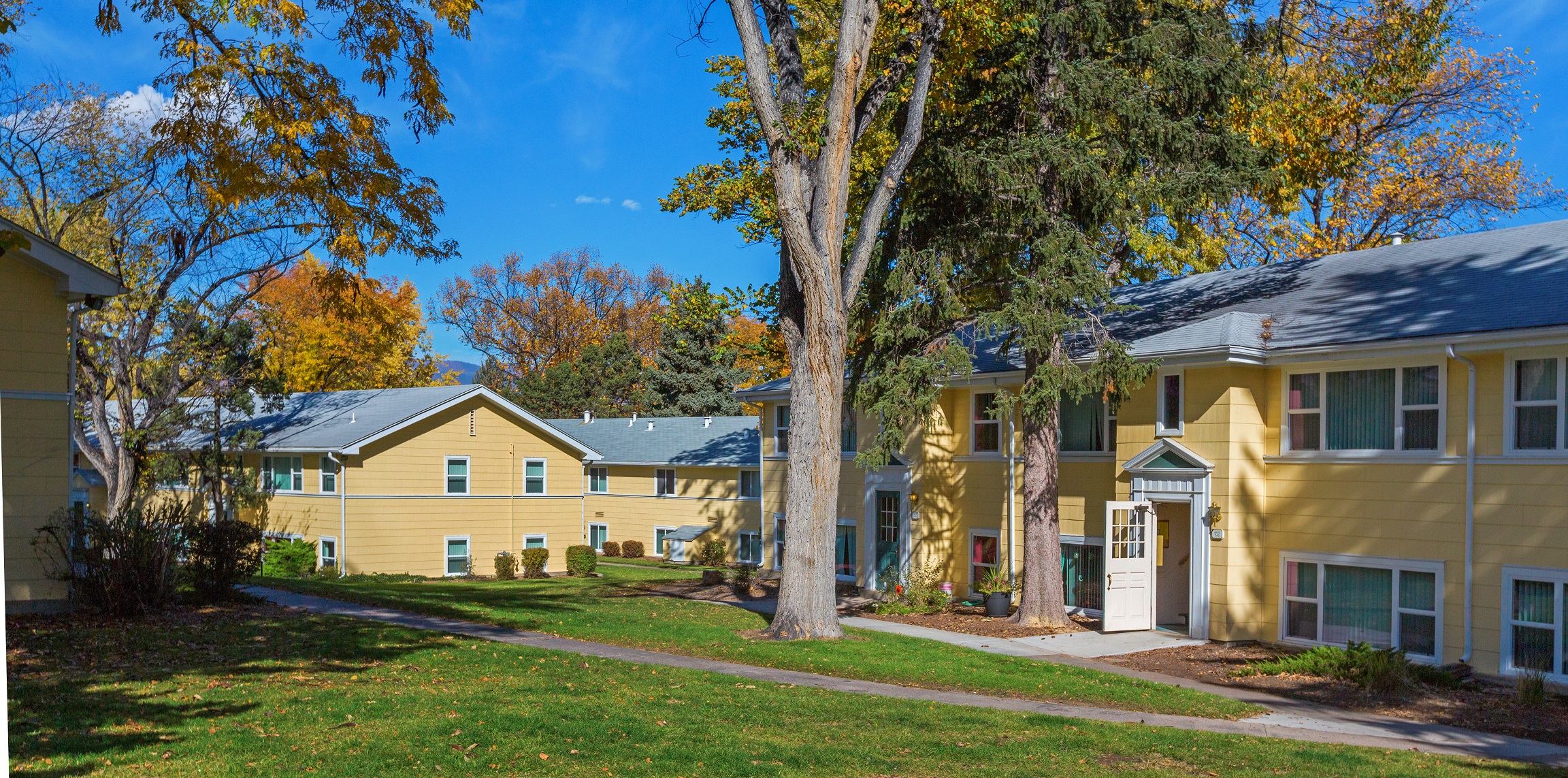 Palmer Park Apartments Apartment and Community Amenities